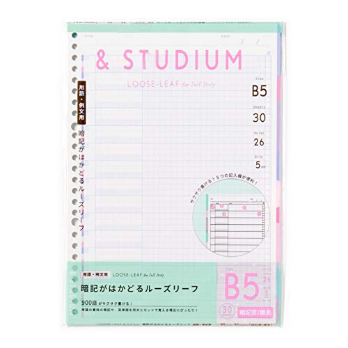 ����͏o�� LOOSE-LEAF for self study GABL-04 MEMORY WIDE
