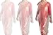 Produktbild 100 Stück wasserdichte Einwegschürzen Folienschürzen Folienhemdchen Schutzkittel Einwegkittel Einmalschürze Folienponcho Poncho Folienoverall Schutzoverall Frisörschürze universelle Größe transparent