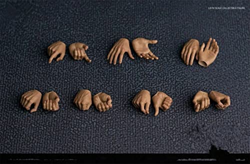 AMITD Figura de acción masculina a escala 1/6, modelo de manos, 7 pares de tipos de mano para muñeca de acción soldado de 12 pulgadas (C)