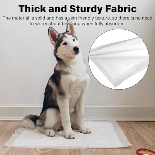 Image of 40 Pack Super Absorbent Soft Pet Training & Dog Urine Pad 24x24 Inch, Travel & Home Use For Puppy Leakage Resistant Urine Pad (White)