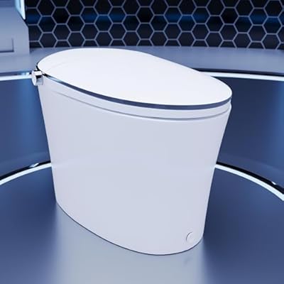 DeerValley Smart Toilet, DV-1S0019-V3 One Piece Smart Toilet with Bidet Built in, Elongated Toilet with Quiet-Closed Heated Seat Sensor, Auto Close/Open, Auto Flush, Warm Wash, Night Light