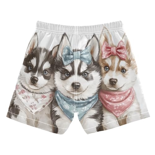 DOMIKING Huskys Bow White Toddler Boys' Swim Trunks Mesh Lining Swim Shorts for Boys Beach Pool Adjustable Waist 2T2