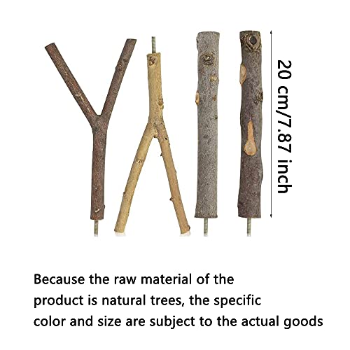 4 Pezzi Posatoi per Uccelli, Trespolo per Uccelli