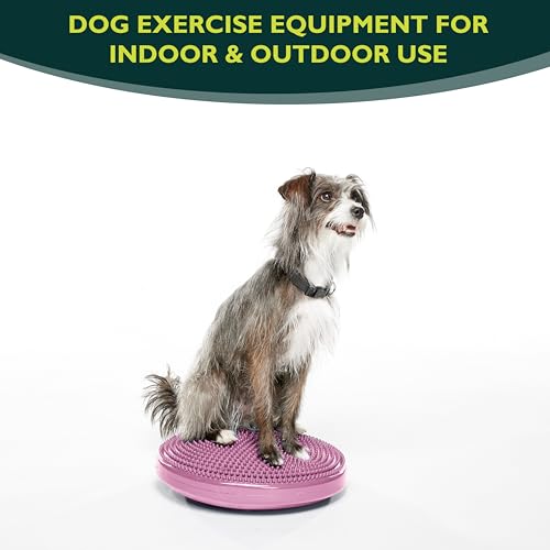 Inflation and Texture Details of FitPAWS Dog Balance Disc