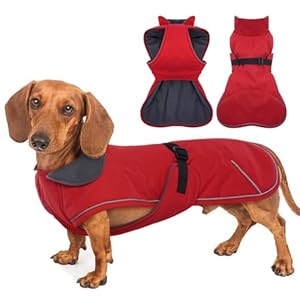 Dachshund Coat Reflective Dachshund Jacket – Red,Small – Waterproof Dachshund Clothes for Winter, Dog Winter Coat Warm Fleece Lining, Dachshund Coat Harness Hole Adjustable Buckle Closure