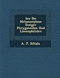  Ber Die Metamorphose Einiger Phryganeiden Und Limnophiliden