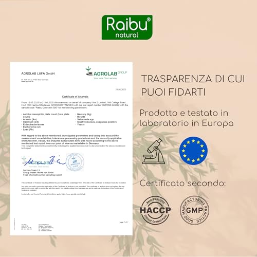 Quercetina 500 mg Pura - 180 Capsule Vegane per 6 Mesi di Fornitura - Estratto di Sophora Japonica con 95% Quercetina - Integratore di Flavonoidi - Testato in Laboratorio e Senza Additivi - Raibu - 4