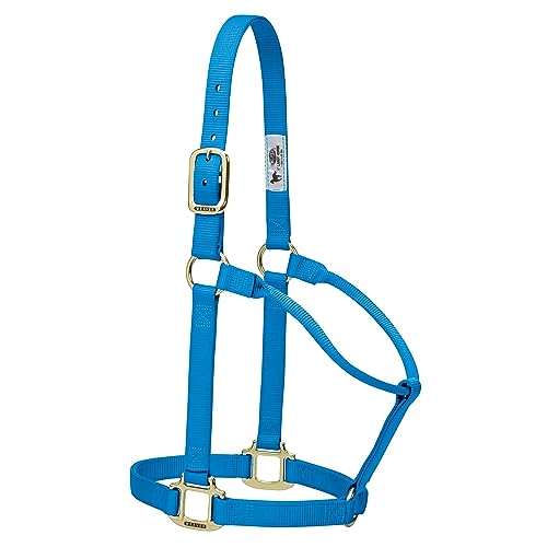 Weaver Leather Original Non-Adjustable Nylon Horse Halter, Yearling, Hurricane Blue by Weaver Equine - Used condition - US$17.17