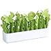 Produktbild WENKO Luftbefeuchter Flora, Polystyrol, 28 x 18 x 7 cm, Weiß