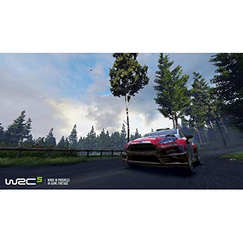 WRC 5 - vue 7