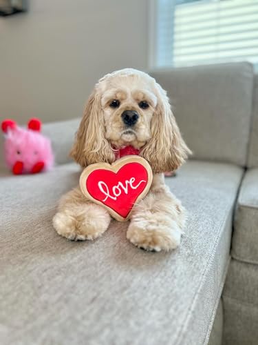 Midlee Red Heart Love Sugar Cookie Valentine\'s Dog Toy (Small)