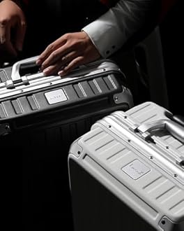 LUGGEX Luggage with Spinner Wheels, Polycarbonate Expandable Hard Shell Suitcase, Carry On 20 Inch, Silver