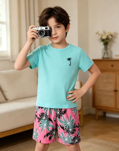 Image of Boys' 2 Piece Summer Outfit Cool Dinosaur & Camouflage Graphic Short Sleeve Tee & Shorts Set Size 4-12