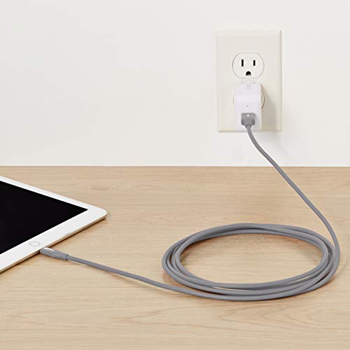 Image of AmazonBasics Apple Certified Lightning to USB Charge and Sync Tough Cable, 10 Feet (3 Meters) - Pack of 2 - Grey
