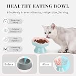 S&Q's CERAMICS Raised Slow Feeder Cat Bowl, Ceramic Elevated and Titled Glass Food Bowl Small Dogs Slow Feeder, Flower Shaped Cute Cat Dish for Dry and Wet Food (Pink, 5.8") - Image 3