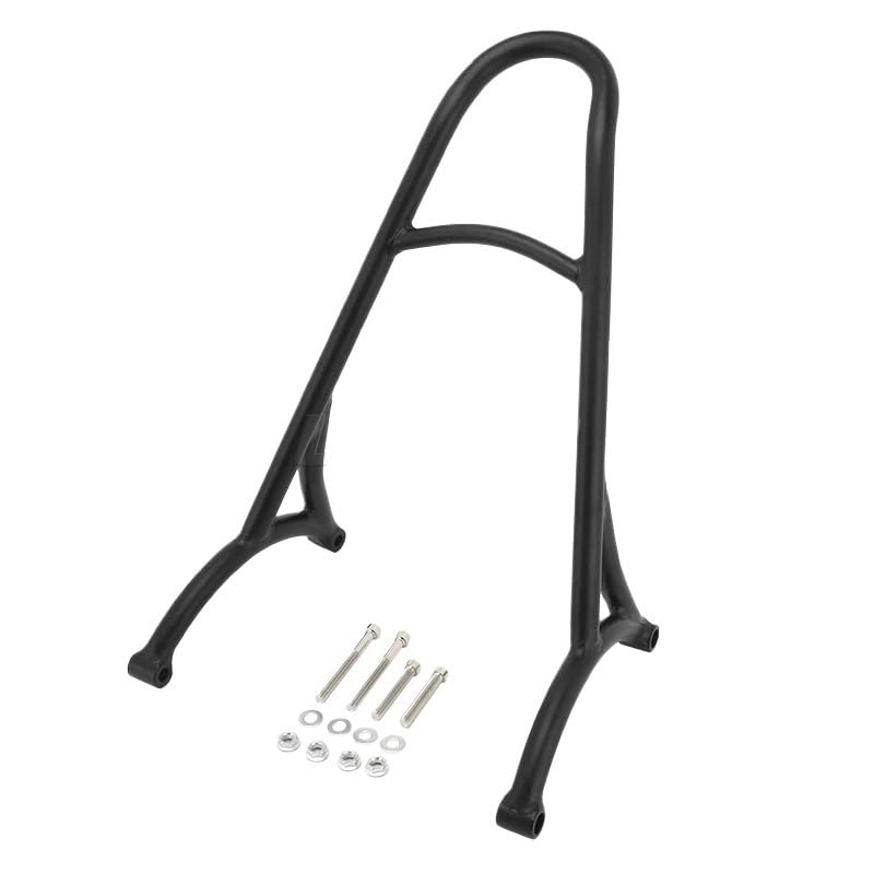 Dossier passager pour moto Sportster XL 883 et 48 idéal pour vos balades