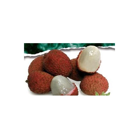 Melissa's Fresh Lychees, (2 lb) Cover