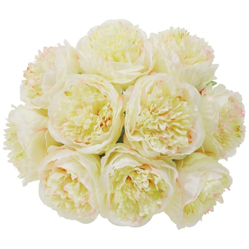 SHACOS 10 Pezzi Fiori Finti per Decorazioni Fiori Artificiali Mazzo di Fiori Peonie Finte Realistiche per Matrimoni, Feste, Decorazioni da Tavolo, Composizione Floreale, Champagne SHACOS 10 Pezzi Fiori Finti per Decorazioni Fiori Artificiali Mazzo di Fiori Peonie Finte Realistiche per Matrimoni, Feste, Decorazioni da Tavolo, Composizione Floreale, Champagne