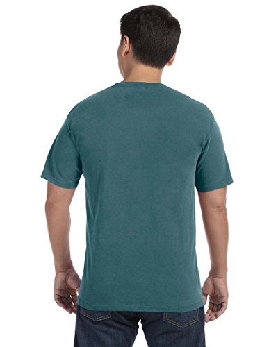 Image of Comfort Colors Adult Short Sleeve Tee, Style G1717