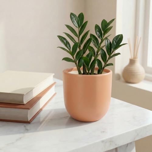 Image of ecofynd 5 Inch Ceramic Plant Pots with Drainage Hole, Modern Decorative Clay Flower Pots for Indoor Plants, Home Garden Decor for Living Room, Bedroom & Interior Spaces (CPOT041-PEH)