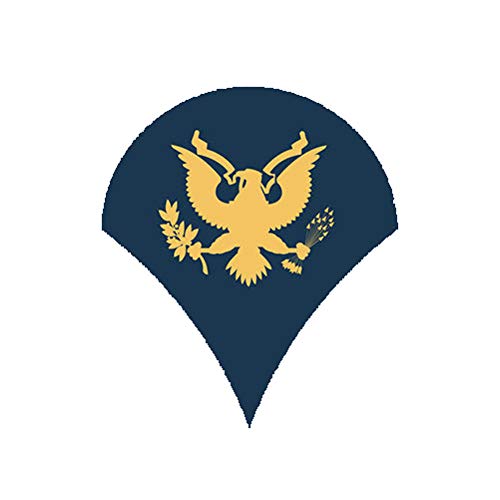 MAGNET Blue Uniform Army Rank Specialist Spc Magnetic Vinyl Car Fridge Sticks to any Metal Surface 5"