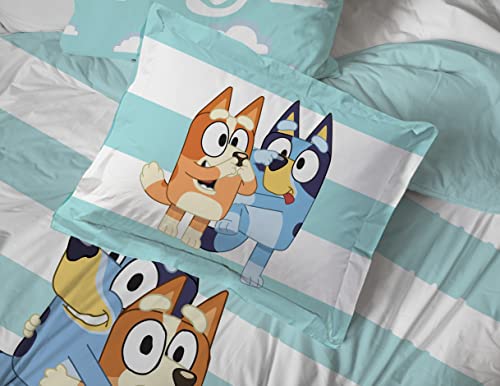 https://m.media-amazon.com/images/I/41XKIKjuvGL.jpg
