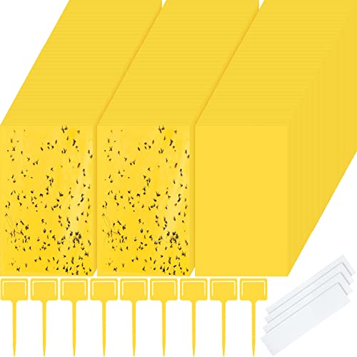 400 Pieces Sticky Traps For Gnats Yellow Dual Sided Sticky Traps For Indoor And Outdoor Fruit Fly Plant Sticky Traps With Twist Ties And Plastic Holders For Flying Plant Insect, Fungus Gnats #TOP19