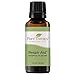 Plant Therapy Respir Aid Essential Oil Blend 30 mL (1 oz) 100% Pure, Undiluted, Natural Aromatherapy, Therapeutic Grade