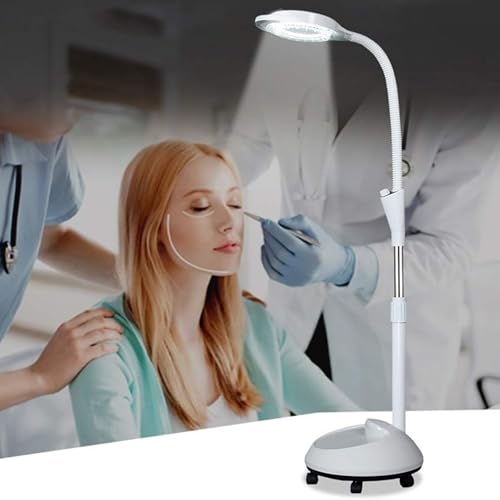 Lampe d'examen médical à LED mobile avec col de cygne et loupe 8X