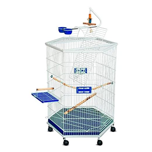 Gaiolas Bragança Viveiro Play Safari Para Calopsitas - Azul