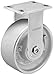 Albion 63CA10405R Heavy Duty Rigid Caster, 10" Diameter Cast Iron Wheel, Roller Bearing, 3/4" Diameter Axle, 2-1/2" Tread Width, 6-1/4" L x 4-1/2" W Plate, 1800 lb. Capacity