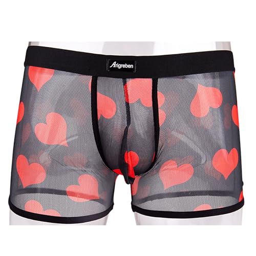 Evankin Men's Sexy Mesh Breathable Boxer Briefs