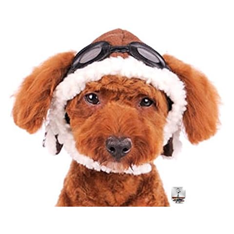 Top 10 Best Pilot Dog Hats in 2023 (Reviews) - FindThisBest