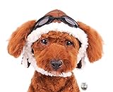 Charmed Aviator Pilot Hat with Goggles for Dogs in Sizes XS Thru XL (X-Large, Brown)