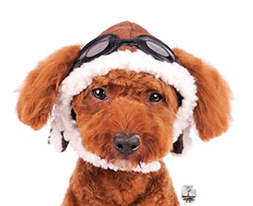 Charmed Aviator Pilot Hat with Goggles for Dogs in Sizes XS Thru XL (X-Large, Brown)
