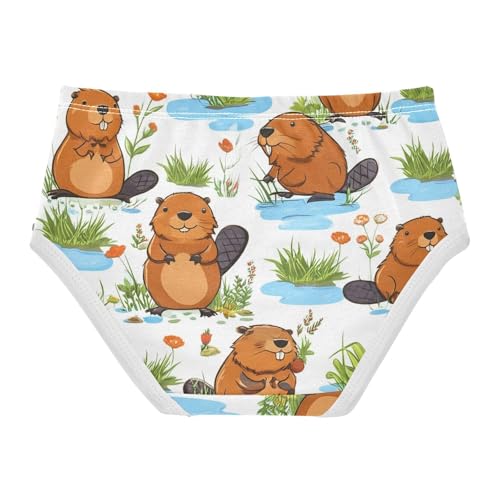 Cute Cartoon Beavers Funny Toddler Underwear Floral 2t Cotton Cute Panties Girl Personalized Kids Briefs Undies2