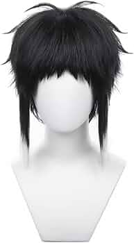 文スト 芥川龍之介 コスプレ 衣装 ウィッグ 文豪ストレイドッグス やつがれ L Amazon.co.jp: 文豪ストレイドッグス 文スト 芥川龍之介 日常服