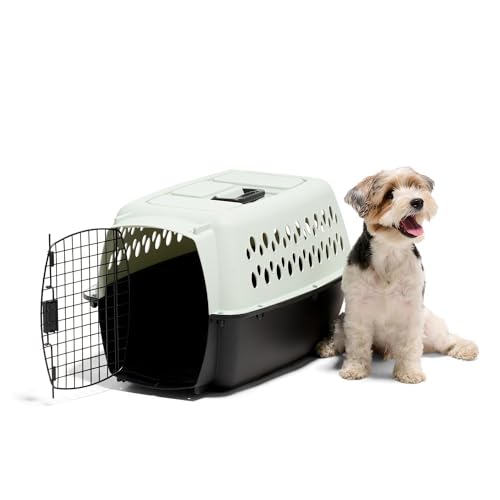 Petmate Pet Porter Fashion Dog Kennel Plastic Crate for Pets 15-20 lbs, Pet Carrier For Home and Travel, Made in USA, 24" L x 14.5" H, Pale Aqua and Black - Image 3