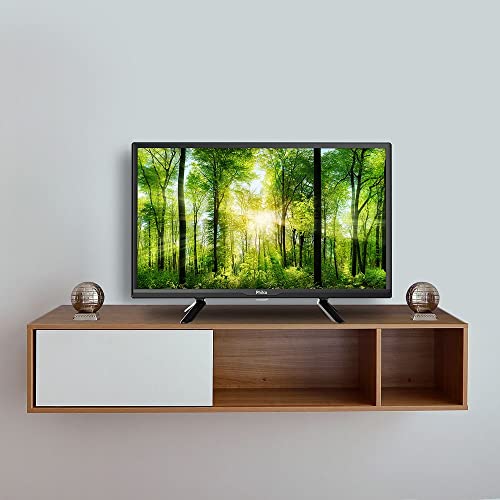 TV PHILCO 24