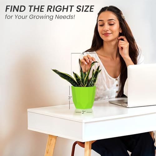 Image of YUCCABE ITALIA SHERA Hexa Plastic Planter Pot for Plants | Decorative Flower Pot | UV Protected Lightweight Indoor Outdoor Gamla for Home Decor, Balcony, Garden & Living Room