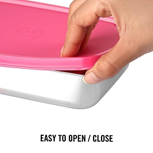 Image of CELLO Max Steel Lunch Box, 2 Units, Pink | Stainless Steel Lunch Box with Inner Veg Box | Tiffin Box with Air-Tight Lid | Ideal for Office and School for Healthy Meal Storage, Big