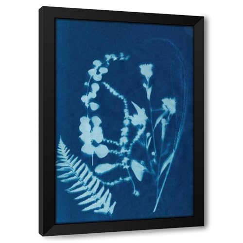ArtDirect Cyanotype No.16 Custom Framed Art Print Giclee Print or Canvas Options with Various Sizes and Customization by Guthrie, Jenna
