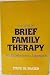 Patterns of Brief Family Therapy: An Ecosystemic Approach