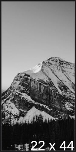 Frame It Easy 22 x 44 Satin Black Metal Frame (Ashford)