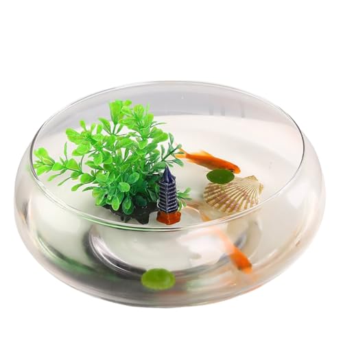 Maceta de loto, cuenco redondo de flores de loto de 6 pulgadas, cuenco de semillas de loto, cuenco de lirio de agua transparente, cuenco de vidrio decorativo para flores, suculentas, plantas