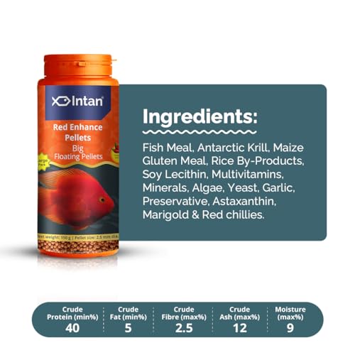 Image of Intan Red Enhance Pellets (Big 2.5mm Floating) | 150gm - Highly Nutritious Ornamental Fish Food for Parrotfish & Red Coloured Fish | Growel Feeds