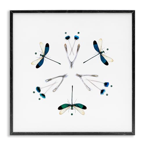 Dragonfly Symmetry Nature, 17 x 17 Inch Framed Giclée Print