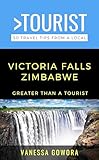 Greater Than a Tourist-Victoria Falls Zimbabwe: 50 Travel Tips from a Local (Greater Than a Tourist Africa)