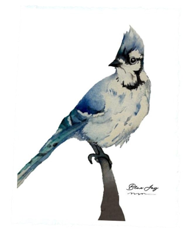 WANDERINGS Handmade Deckle Edge Blank Greeting Cards & Envelopes with Bird Art - 300gsm – 20 Cards (5 Each of 4 Varieties) – 5x7 / 13x18 Cm – for Invitations & Thank You Cards