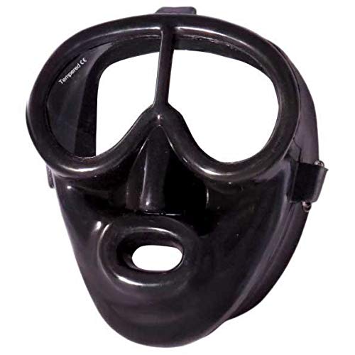 Ist/Dolphin Buceo y Snorkel de Gafas de bucear Marca Unisex Adulto